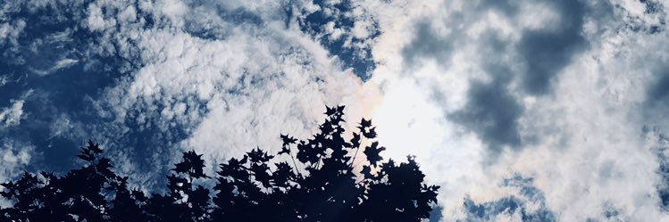 Naked_Pixels's profile banner image