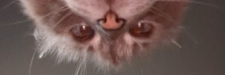 LandonV79's profile banner image