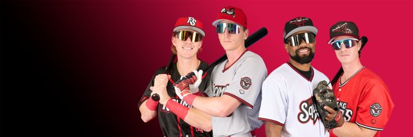 GoSquirrels Profile Banner