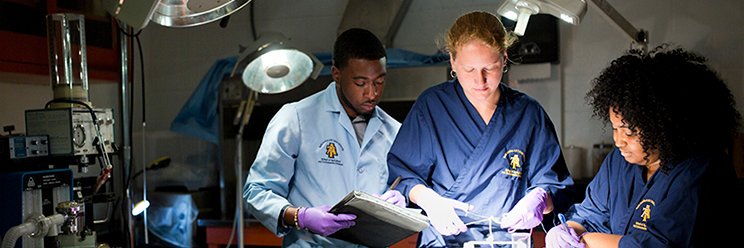 NCAT_LifeSciences banner