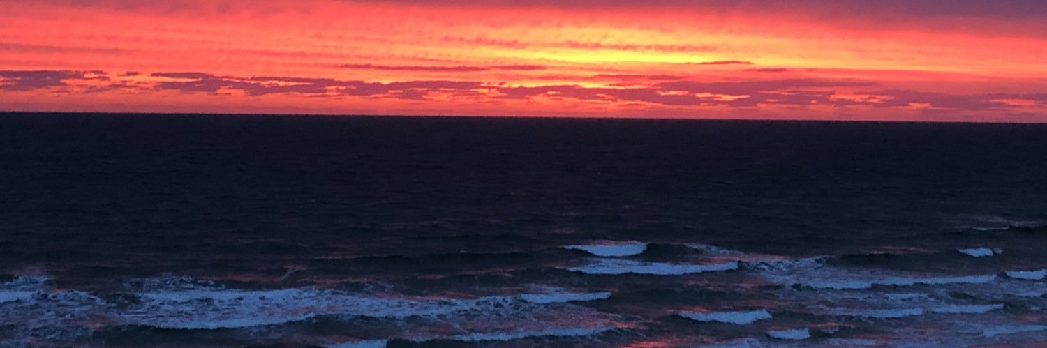 Kevin Collins banner