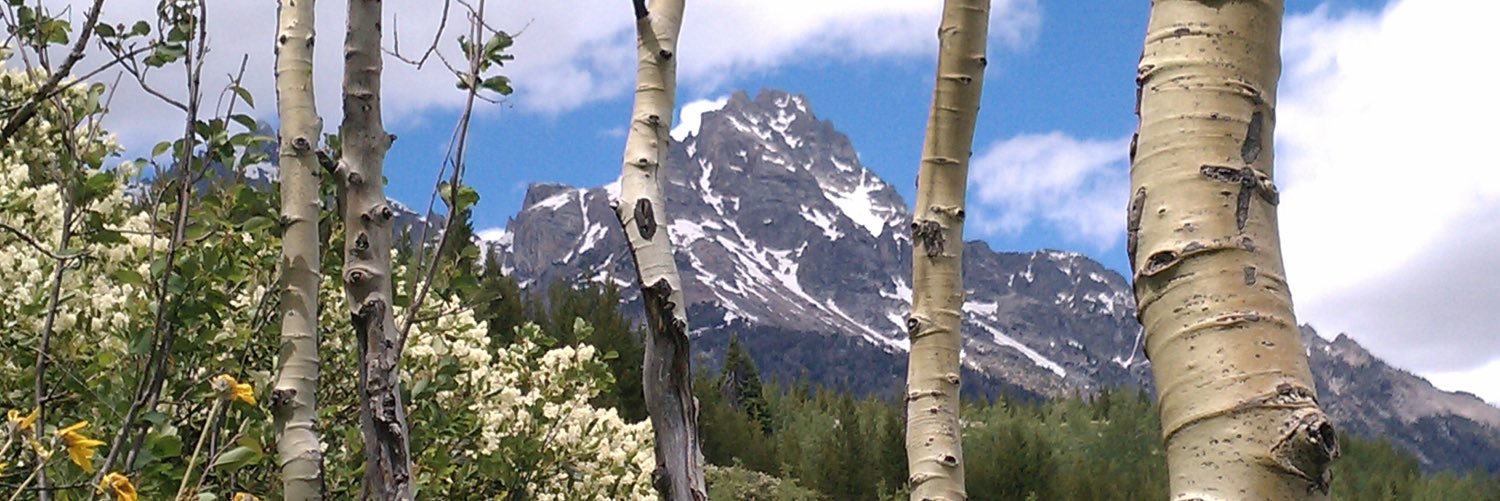 tx4sunco4ski's profile banner image