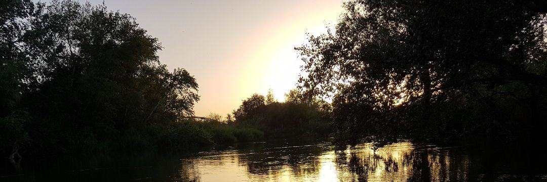 Yanelnic's profile banner image