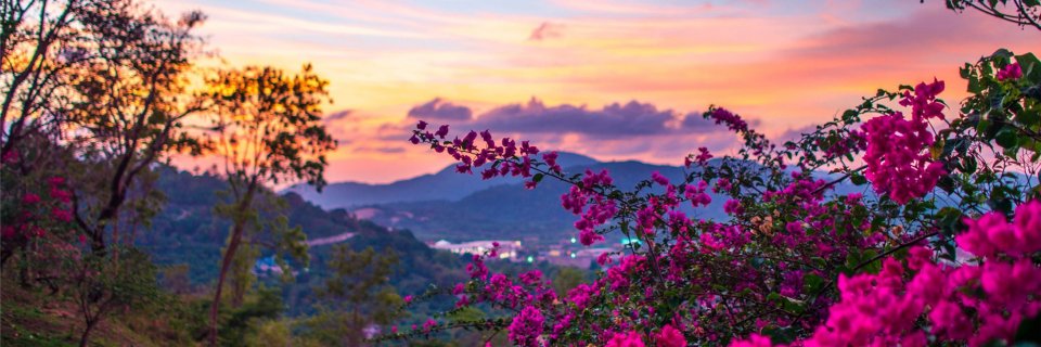 bittrex bitcoin cryptocurrency exchange bittrex banner