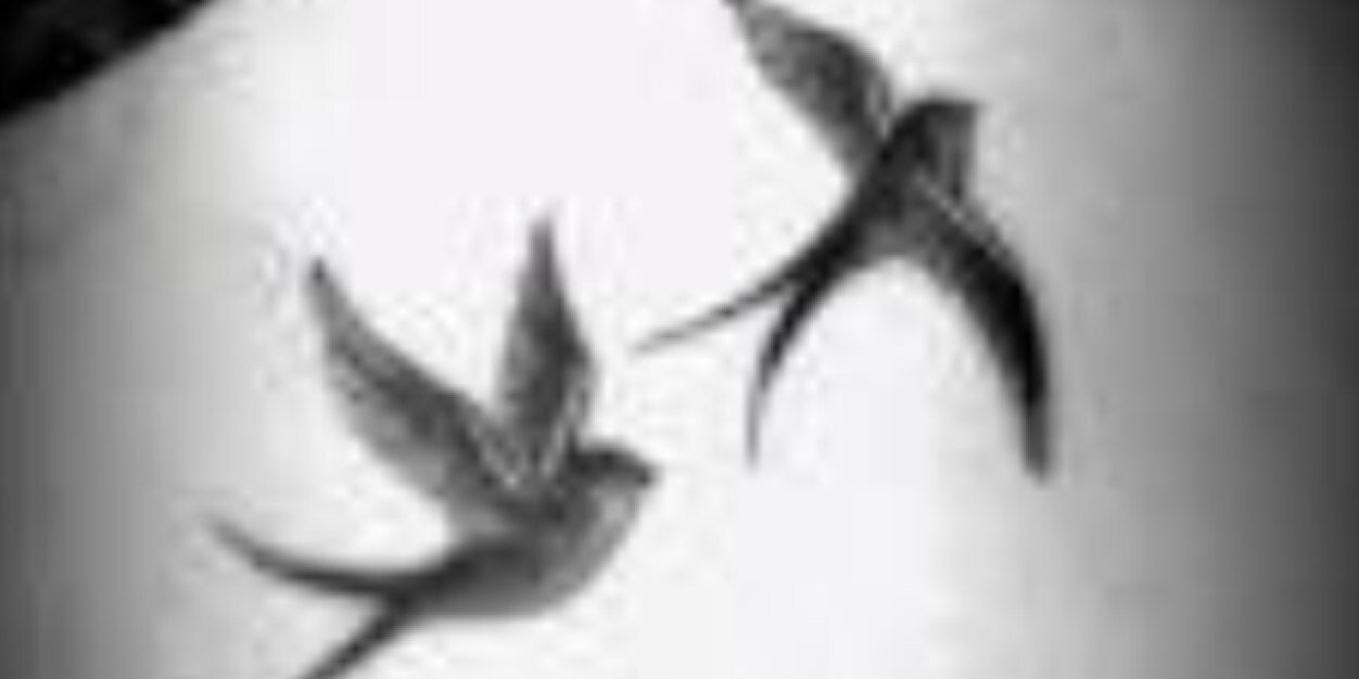 Lizb1503's profile banner image