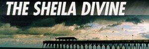 Tony DeNardo banner