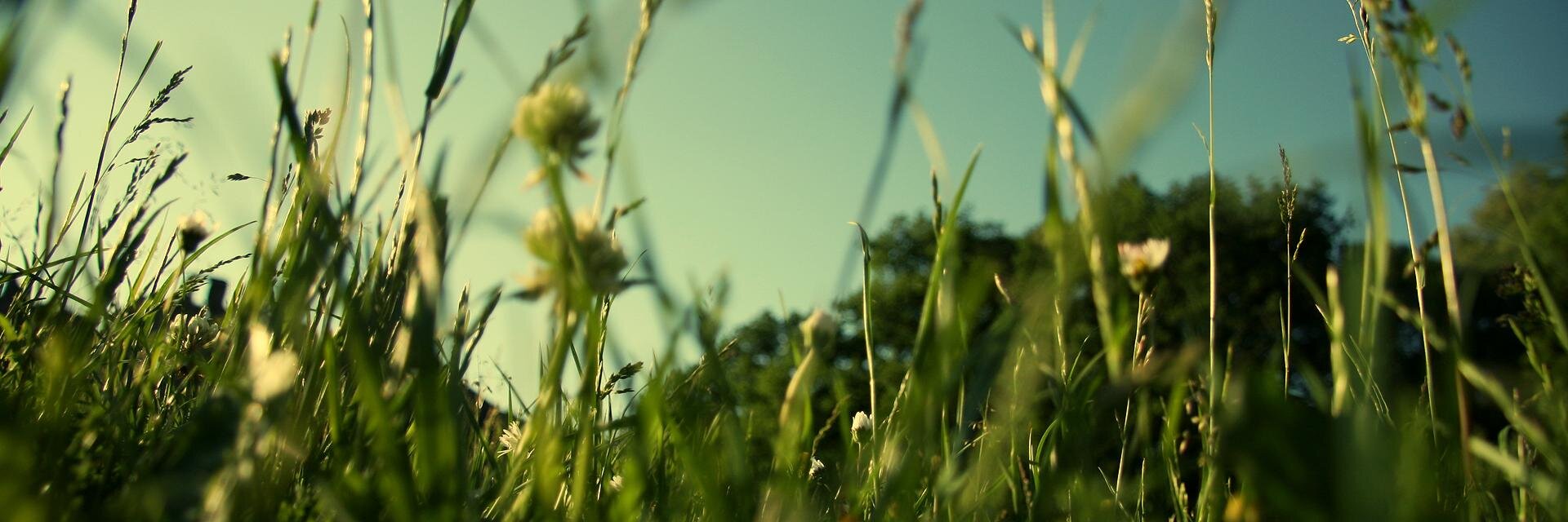 ricocvc's profile banner image
