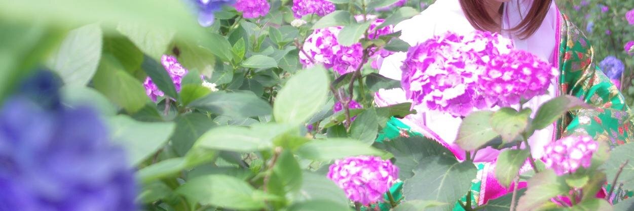 青葉涼 banner