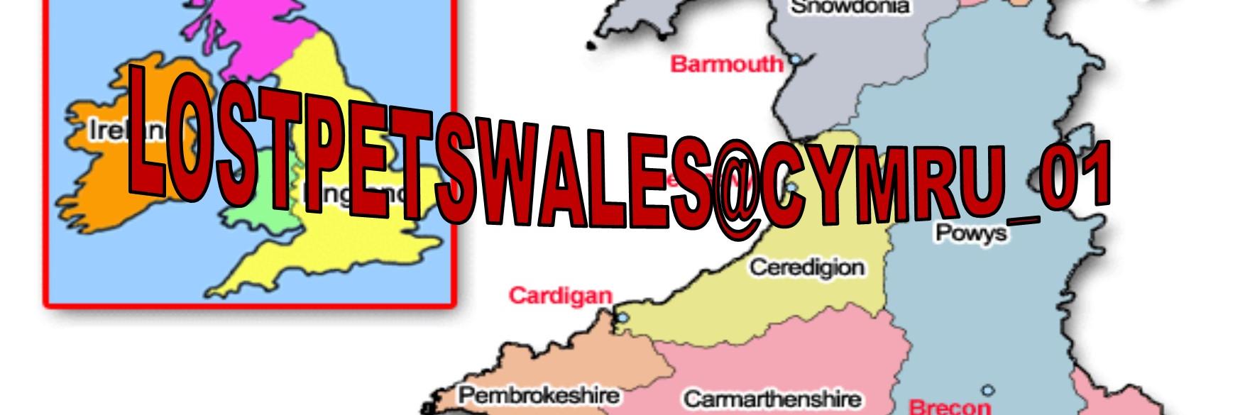LostPetsWales banner