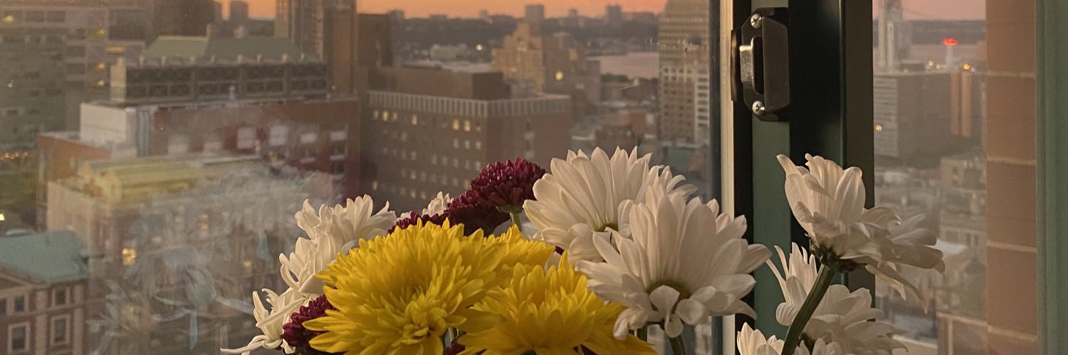 Alice_Donson's profile banner image
