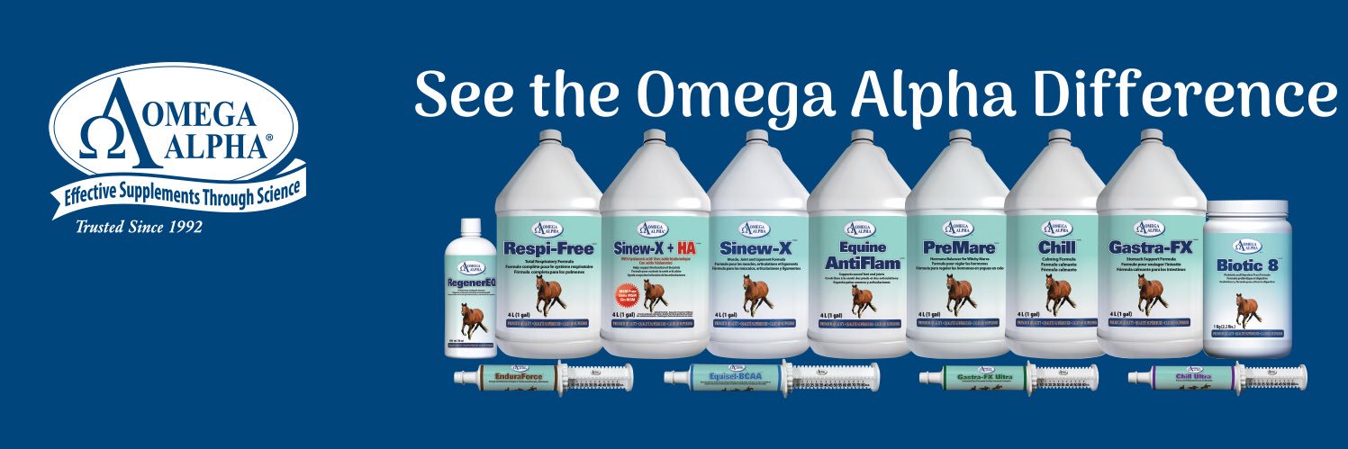 OmegaAlphaEQ's profile banner image