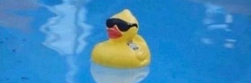 Drip Poutine  banner