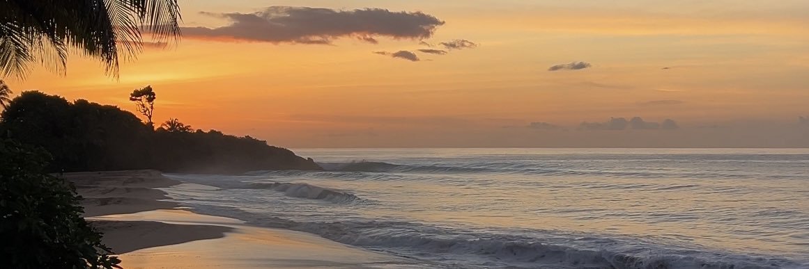 lorianedidio's profile banner image