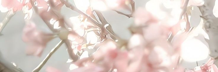 van ✰ banner