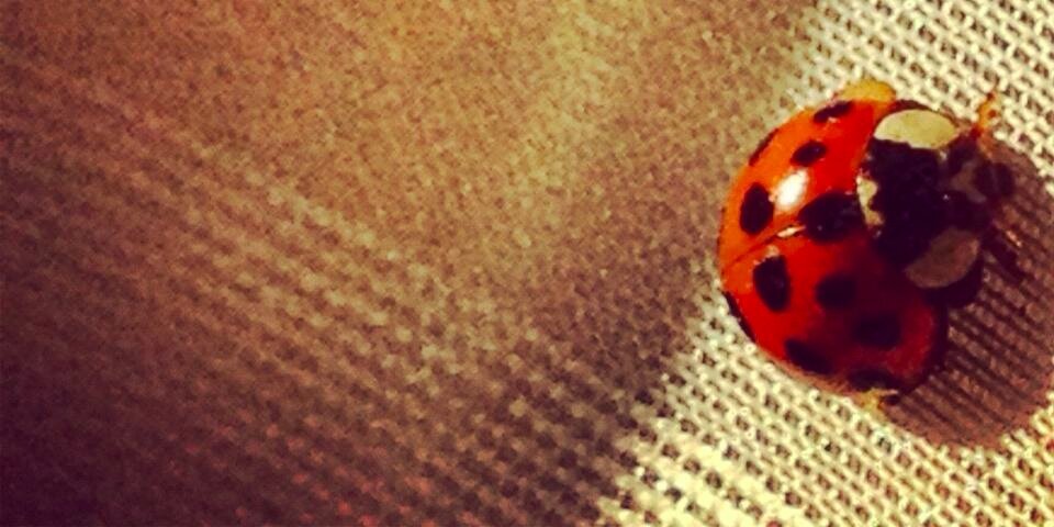 katiecaustin's profile banner image