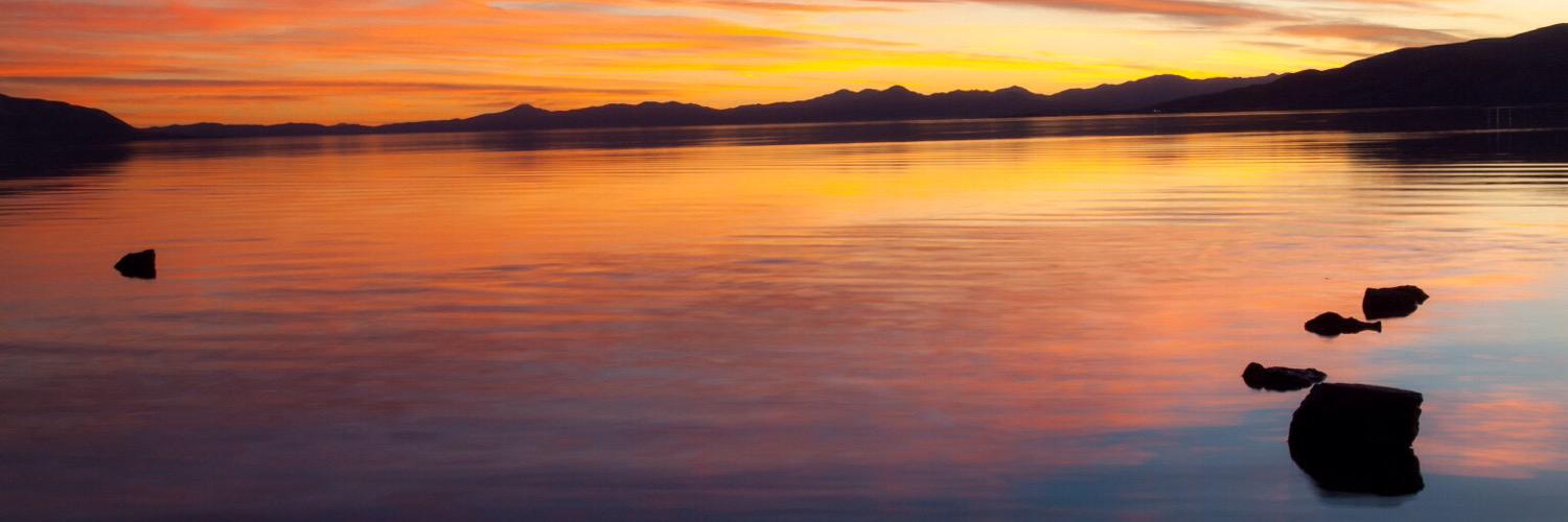 cdtwitchy's profile banner image