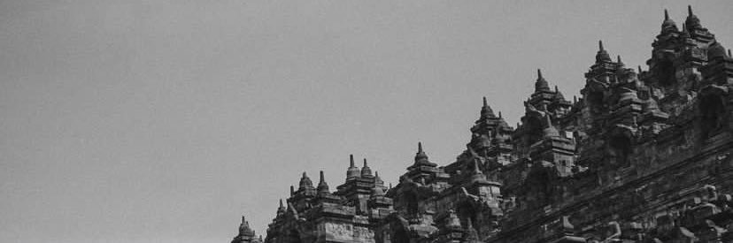 dolmarroo's profile banner image