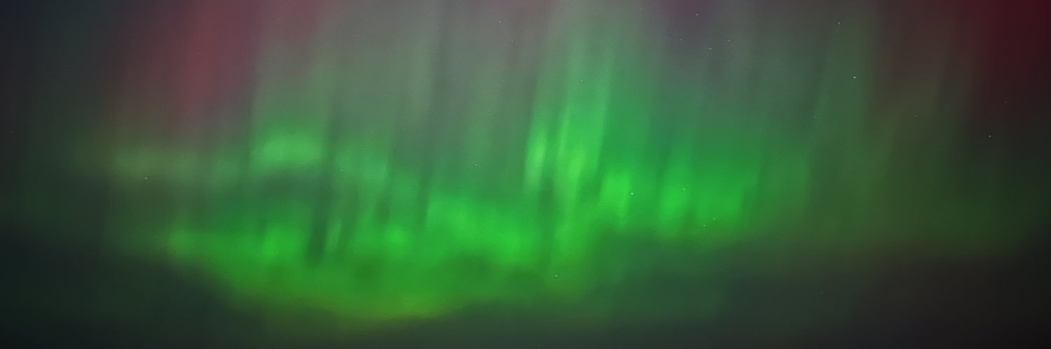 Madelynn Wuestenberg banner