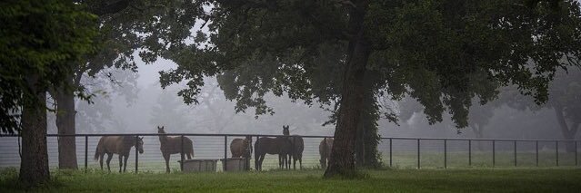 SchillerRanch's profile banner image