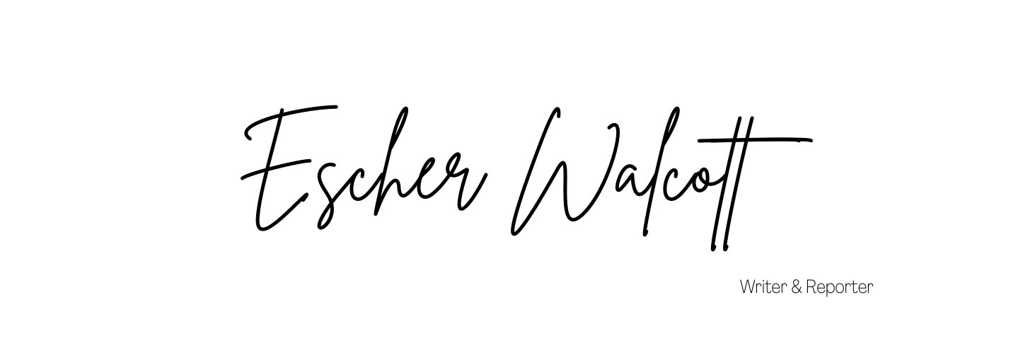 escherwalcott's profile banner image