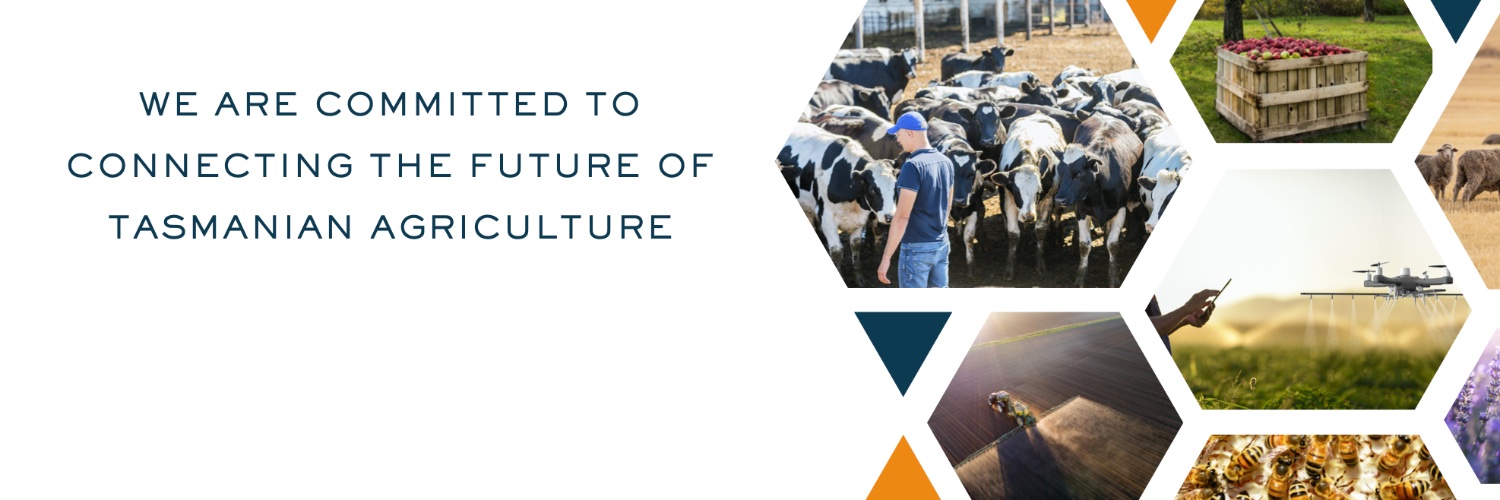 Young Agricultural Professionals Network banner