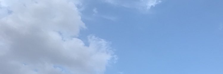 🇸🇦 banner