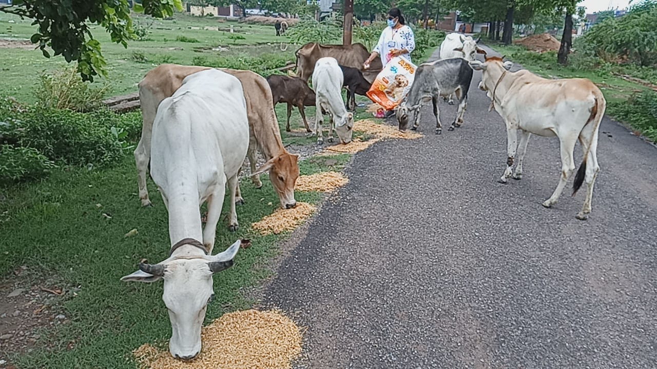 Adv Poonam Pandey banner