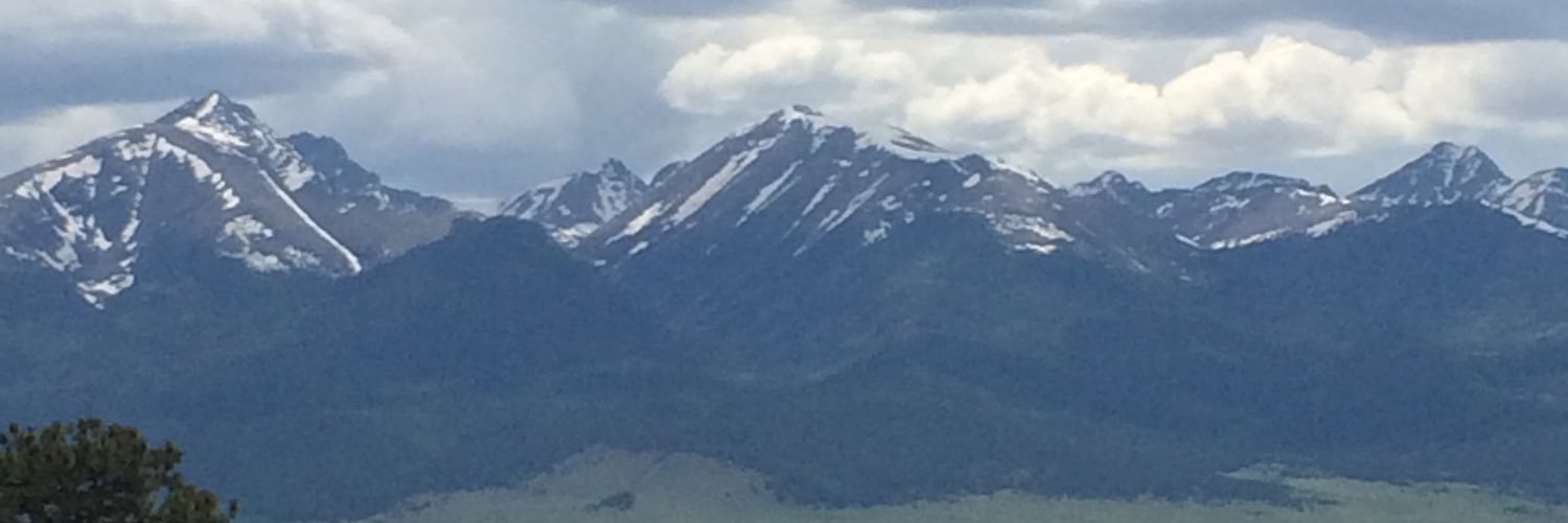 Amy Honodel banner