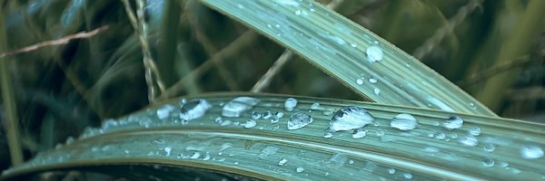 Darasengs Profile Banner