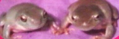 jimena_A_'s profile banner image