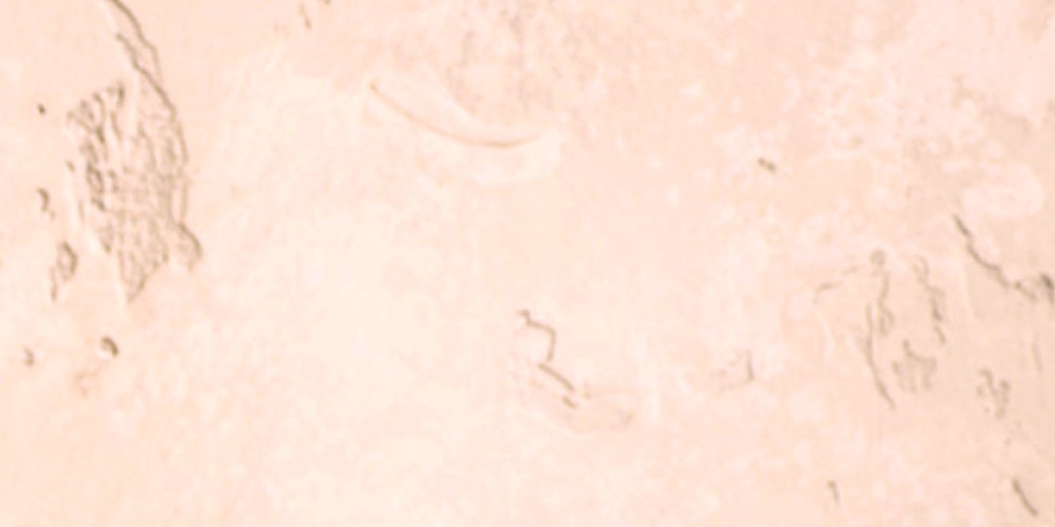 TiaraWica's profile banner image