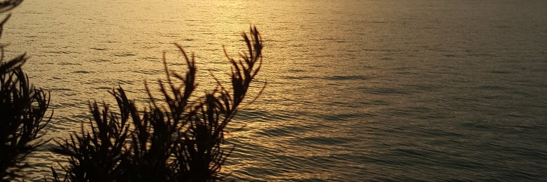 erdemiremmm's profile banner image
