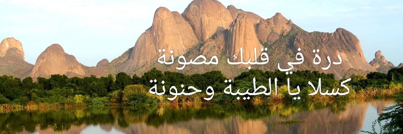 أبو الولد البشد الحيل banner