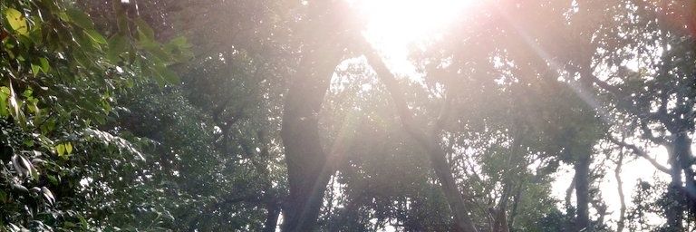 Bon_cheese's profile banner image