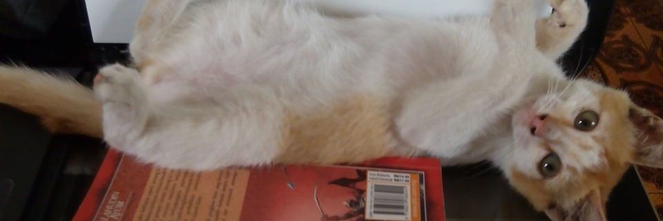 IamMylaaaaaaa's profile banner image