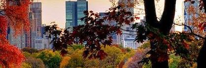 denisecmarshall's profile banner image