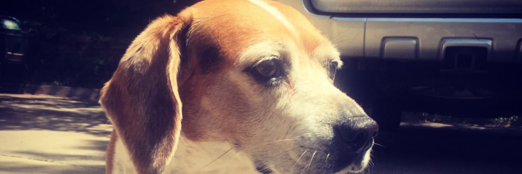 amythestud's profile banner image