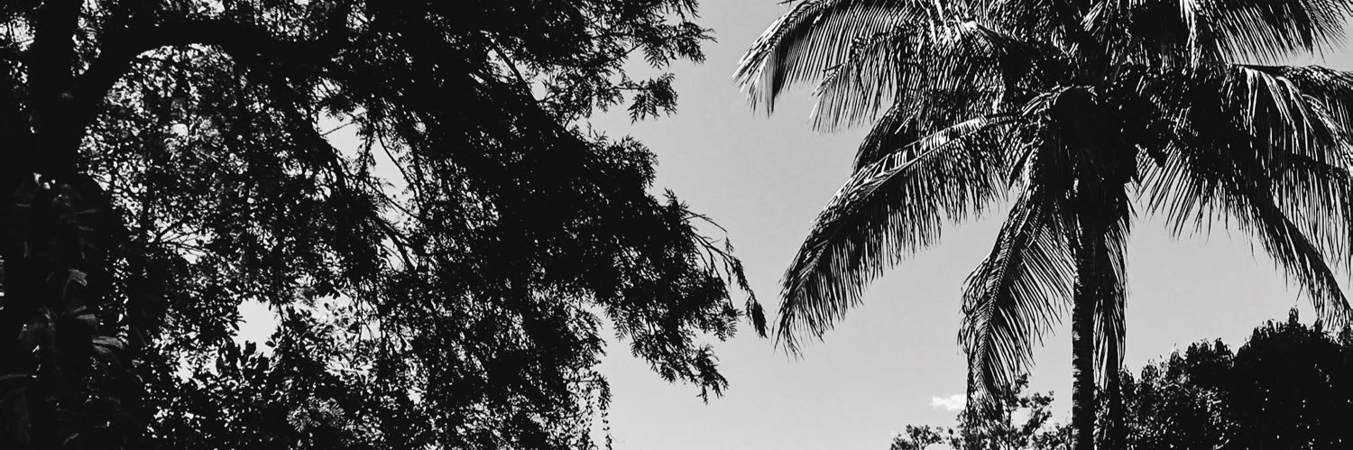 marcoxsalas's profile banner image