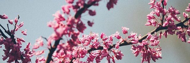 bella2747's profile banner image