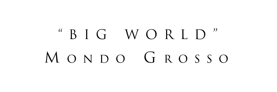 MONDO GROSSO banner