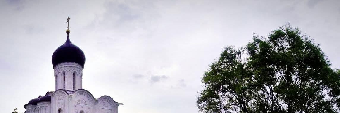 Andrii Telizhenko's banner