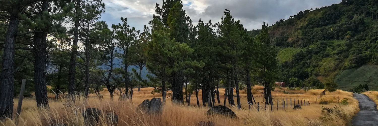 Nicole2191's profile banner image