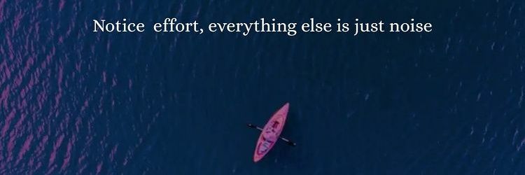 KingContrarian's profile banner image