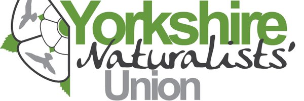 ynurc Profile Banner