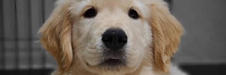 adriantomm's profile banner image