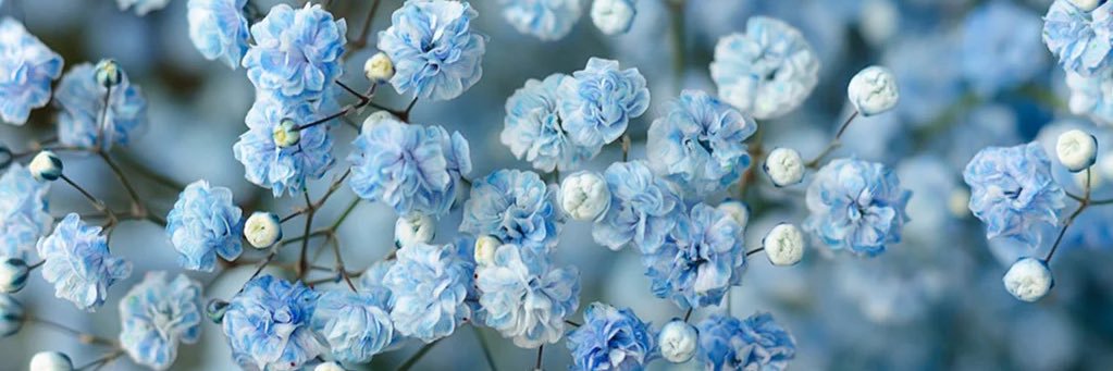ninixx18's profile banner image