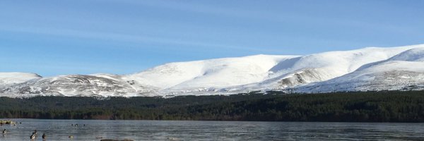 FeeFeeMcConnell Profile Banner