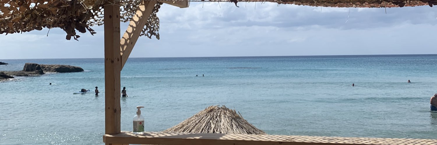 LSraloman's profile banner image
