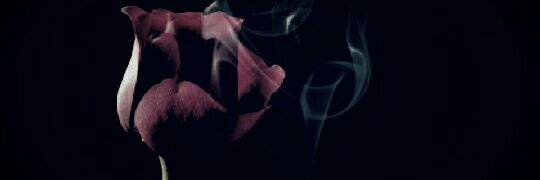 imfinalyhereso's profile banner image