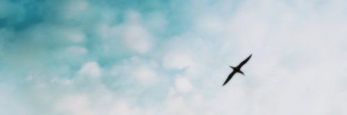 suuuei's profile banner image